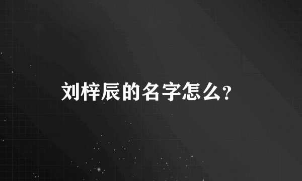 刘梓辰的名字怎么？