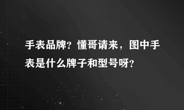 手表品牌？懂哥请来，图中手表是什么牌子和型号呀？