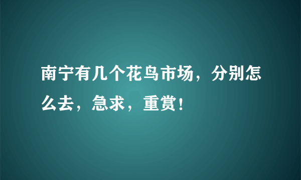 南宁有几个花鸟市场，分别怎么去，急求，重赏！