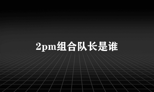 2pm组合队长是谁