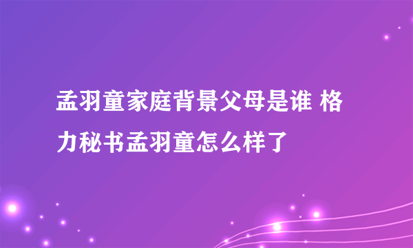 孟羽童家庭背景父母是谁 格力秘书孟羽童怎么样了