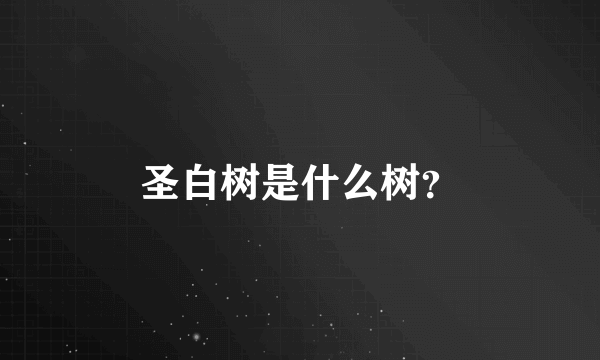 圣白树是什么树？