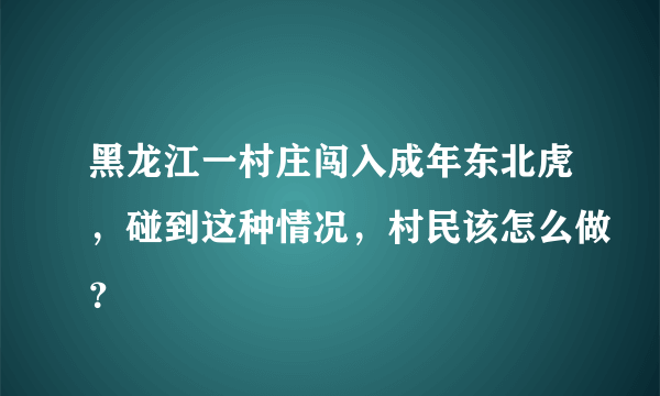 黑龙江一村庄闯入成年东北虎，碰到这种情况，村民该怎么做？