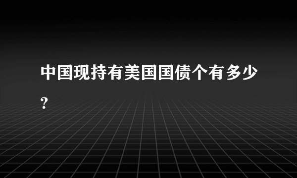 中国现持有美国国债个有多少？