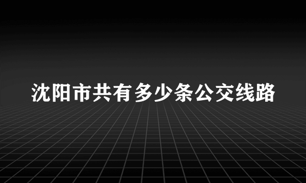 沈阳市共有多少条公交线路