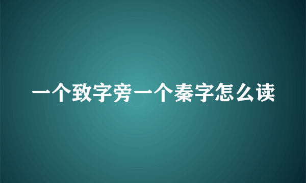 一个致字旁一个秦字怎么读