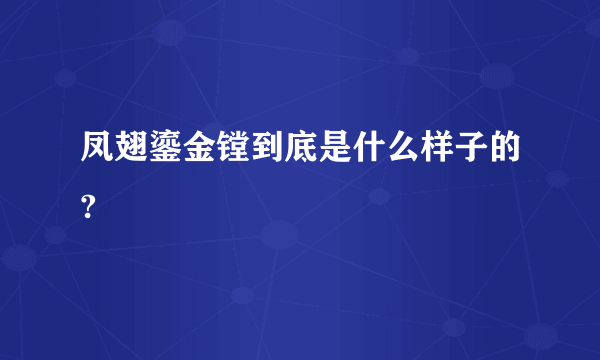 凤翅鎏金镗到底是什么样子的?