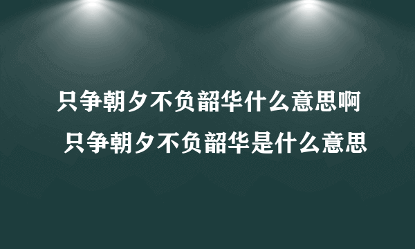 只争朝夕不负韶华什么意思啊 只争朝夕不负韶华是什么意思