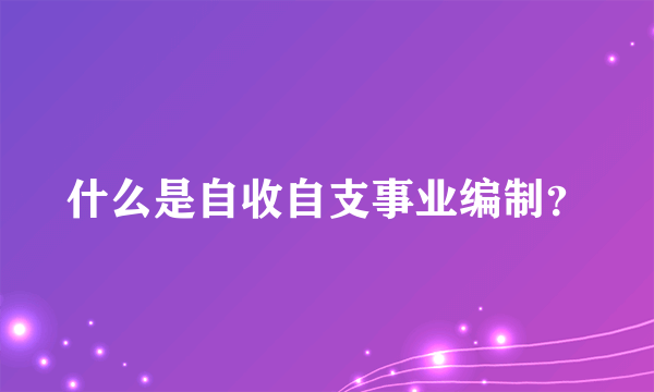 什么是自收自支事业编制？