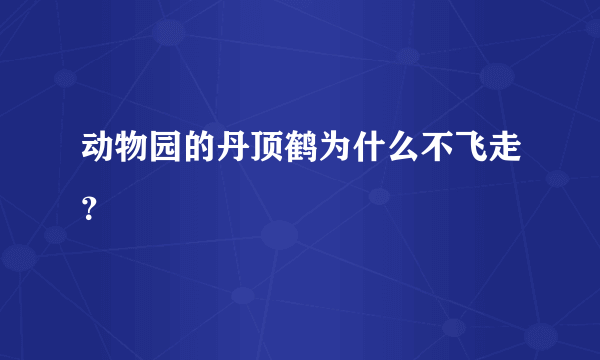 动物园的丹顶鹤为什么不飞走？