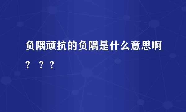 负隅顽抗的负隅是什么意思啊？ ？？