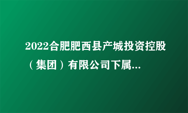 2022合肥肥西县产城投资控股（集团）有限公司下属子公司招聘公告