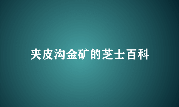 夹皮沟金矿的芝士百科