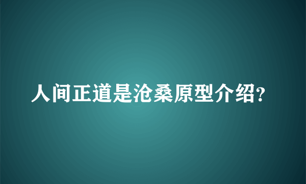 人间正道是沧桑原型介绍？