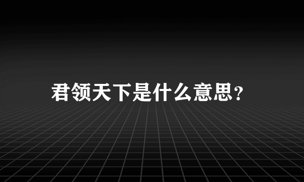 君领天下是什么意思？