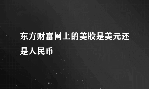 东方财富网上的美股是美元还是人民币