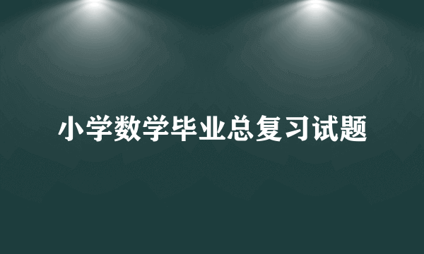 小学数学毕业总复习试题