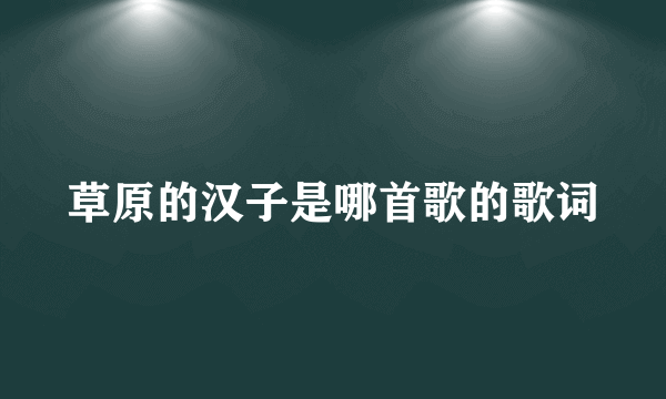 草原的汉子是哪首歌的歌词