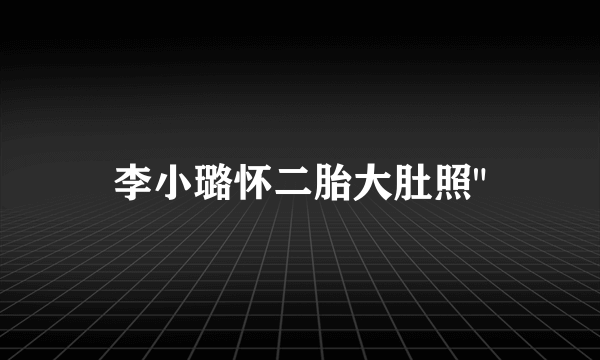 李小璐怀二胎大肚照