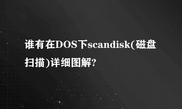 谁有在DOS下scandisk(磁盘扫描)详细图解?