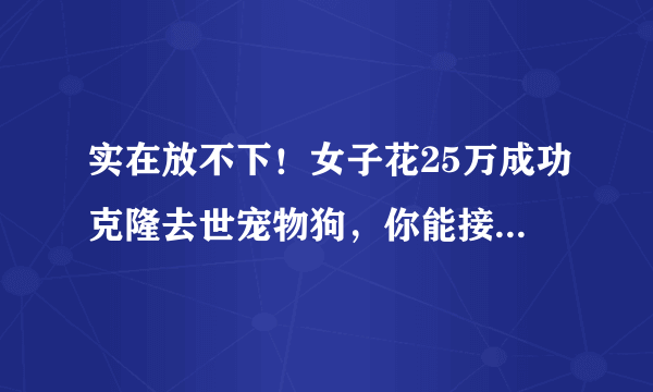 实在放不下！女子花25万成功克隆去世宠物狗，你能接受克隆动物吗？