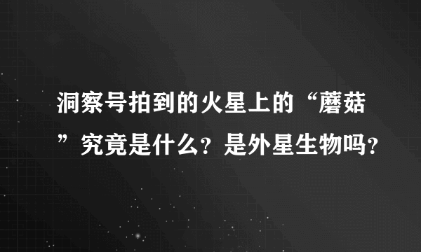 洞察号拍到的火星上的“蘑菇”究竟是什么？是外星生物吗？