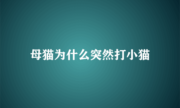 母猫为什么突然打小猫