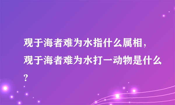 观于海者难为水指什么属相，观于海者难为水打一动物是什么?