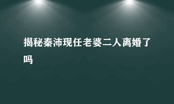 揭秘秦沛现任老婆二人离婚了吗