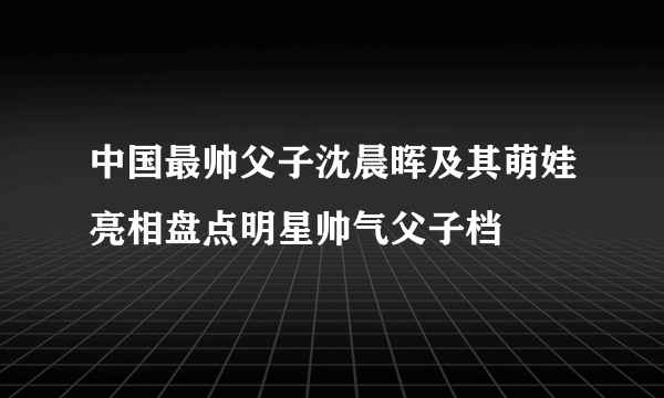 中国最帅父子沈晨晖及其萌娃亮相盘点明星帅气父子档