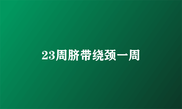 23周脐带绕颈一周