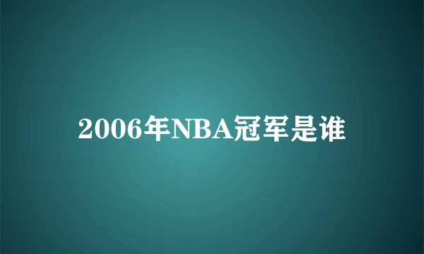 2006年NBA冠军是谁