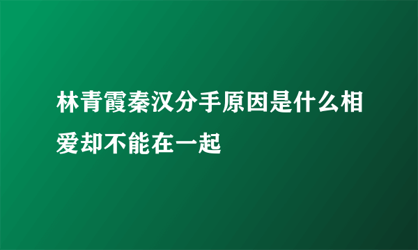 林青霞秦汉分手原因是什么相爱却不能在一起