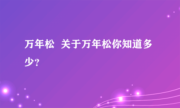 万年松  关于万年松你知道多少？