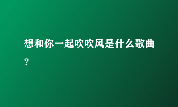 想和你一起吹吹风是什么歌曲？