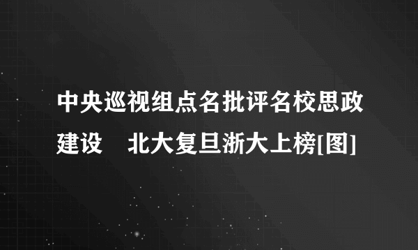 中央巡视组点名批评名校思政建设　北大复旦浙大上榜[图]