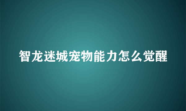 智龙迷城宠物能力怎么觉醒