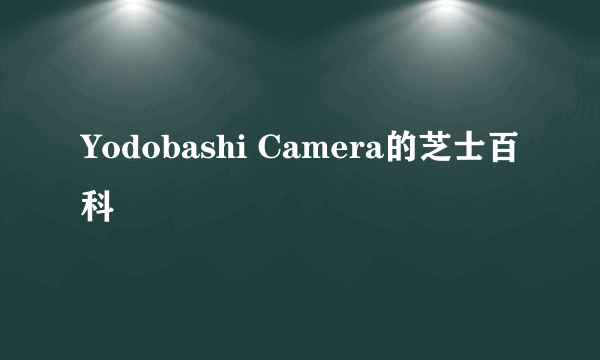 Yodobashi Camera的芝士百科