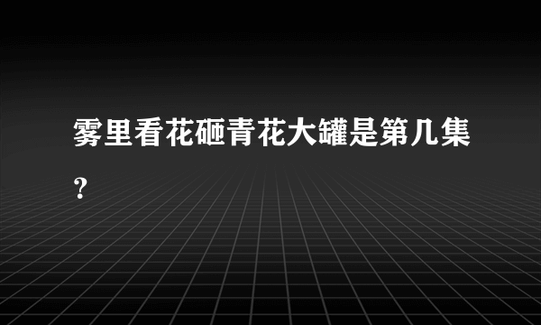 雾里看花砸青花大罐是第几集？