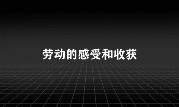 劳动的感受和收获