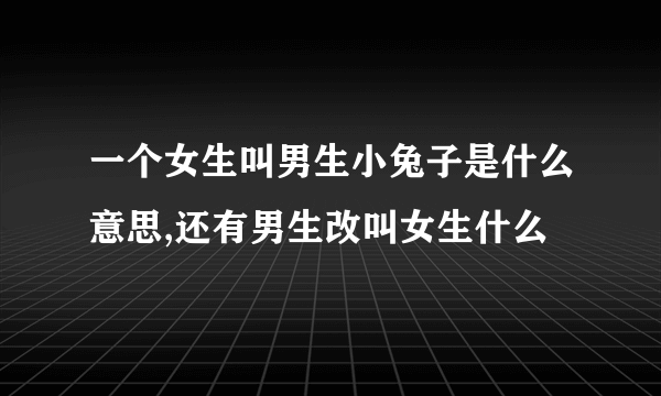 一个女生叫男生小兔子是什么意思,还有男生改叫女生什么