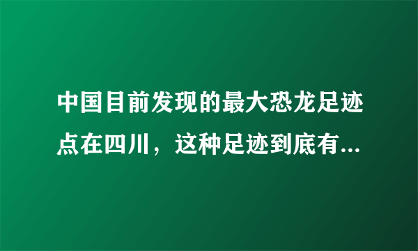 中国目前发现的最大恐龙足迹点在四川，这种足迹到底有多稀有？