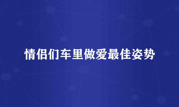 情侣们车里做爱最佳姿势