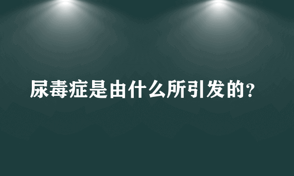 尿毒症是由什么所引发的？