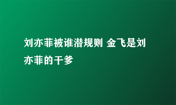 刘亦菲被谁潜规则 金飞是刘亦菲的干爹