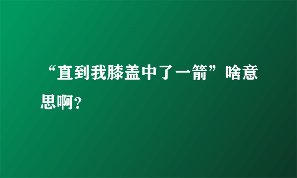 “直到我膝盖中了一箭”啥意思啊？