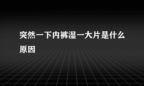 突然一下内裤湿一大片是什么原因