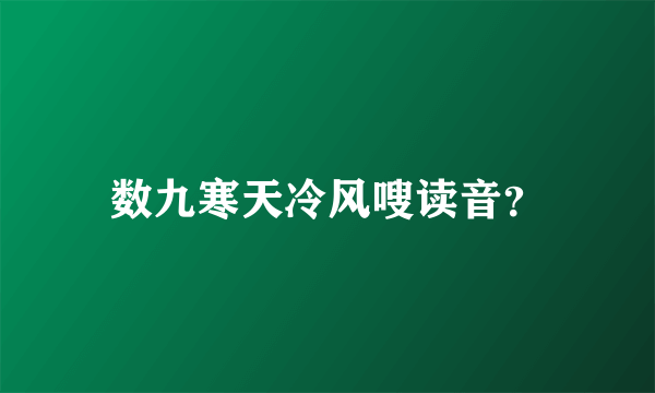 数九寒天冷风嗖读音？