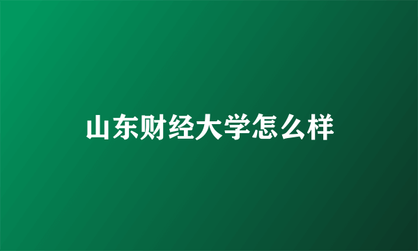 山东财经大学怎么样