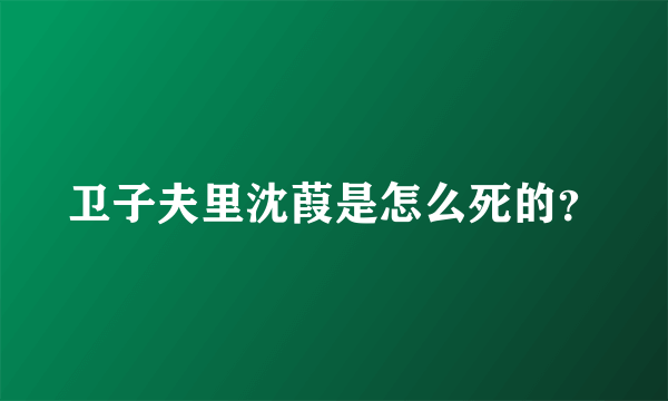 卫子夫里沈葭是怎么死的？